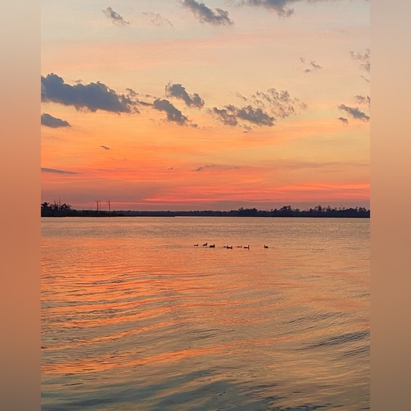 Meet your Posher, Sheri - Picture 4 of 4